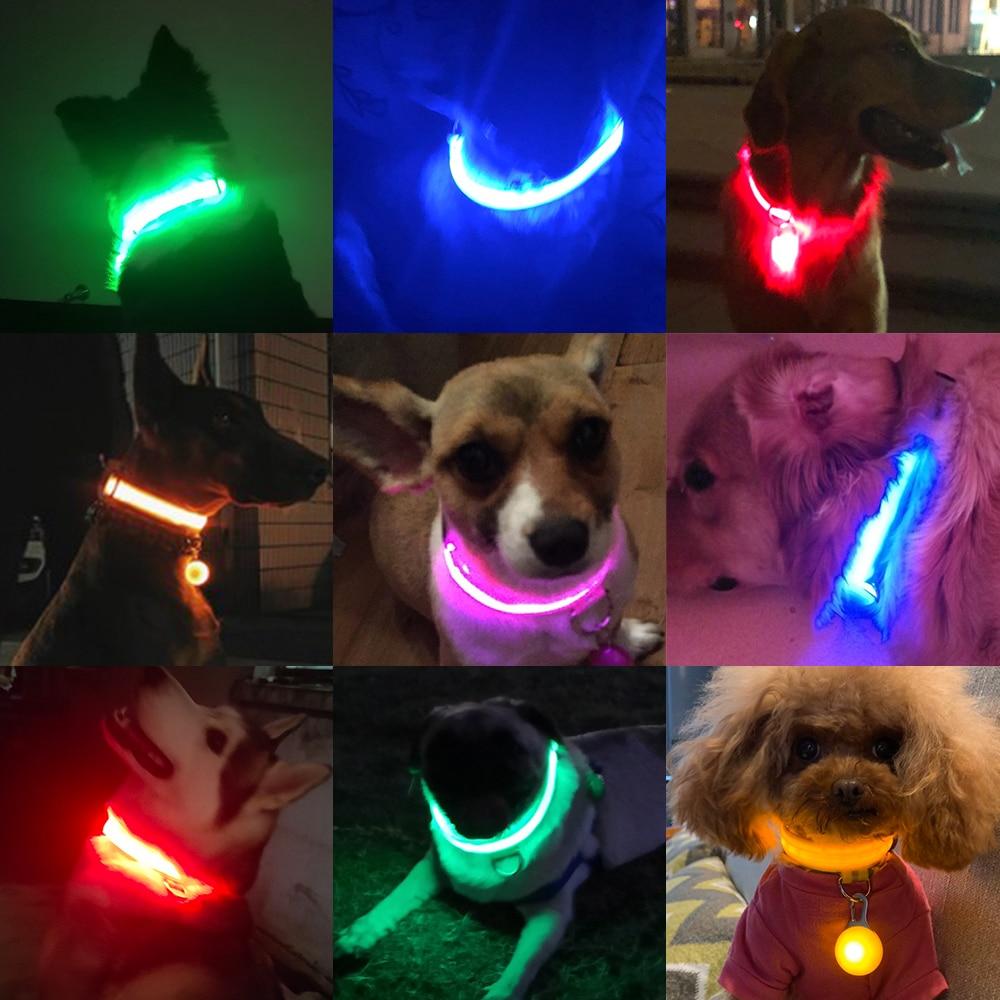 Coleira para Cães - LED (USB) 200003720 Reluxer Shop 